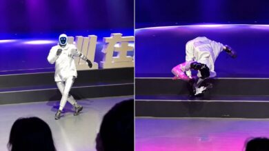 robot