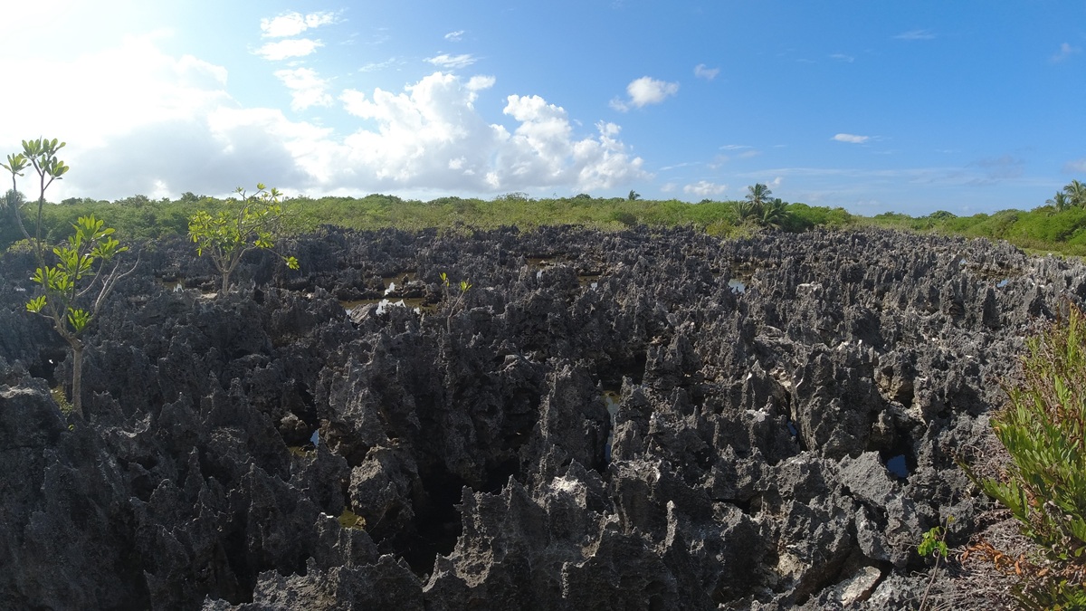 Caraibi in crociera, il paradiso da vivere