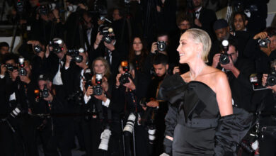 Festival di Cannes, Sharon Stone