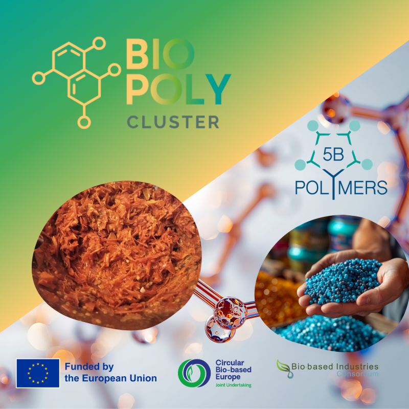 NSBProject, dagli scarti agroalimentari i biopolimeri del futuro di POLYMERS-5B NSBProject, dagli scarti agroalimentari i biopolimeri del futuro di POLYMERS-5B
