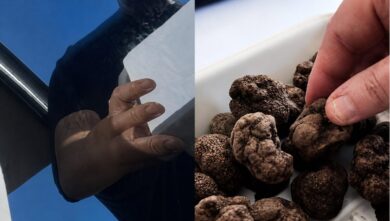 truffa tartufo report