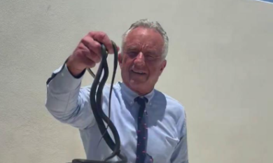 Robert Kennedy Jr afferra due serpenti a mani nude e viene morso: disavventura per il ministro della Salute Usa