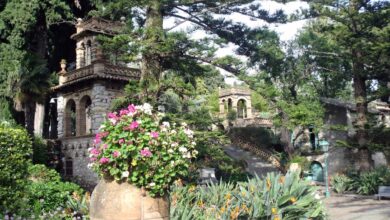 All’Orto Botanico di Roma la Serra della Biodiversità Tropicale