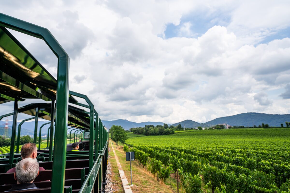 Fondazione FS, inaugurate le prime carrozze panoramiche d’Italia per il turismo ferroviario Fondazione FS, inaugurate le prime carrozze panoramiche d’Italia per il turismo ferroviario