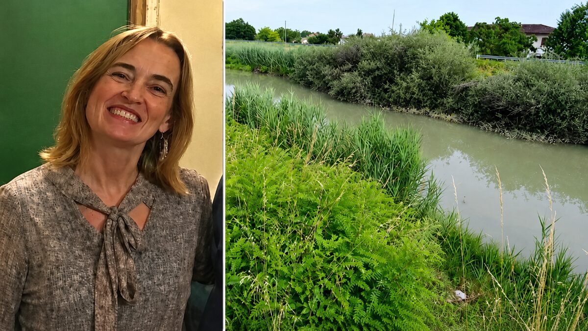 Omicidio Chiara Guerra: ritrovato il corpo della prof uccisa dal nipote 17enne nel canale Malgher Omicidio Chiara Guerra: ritrovato il corpo della prof uccisa dal nipote 17enne nel canale Malgher