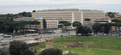 Stage FAO 2026