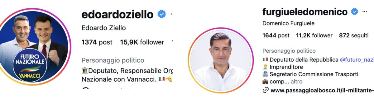 Quanto sono cresciuti gli account Instagram della “sporca dozzina”? Quanto sono cresciuti gli account Instagram della “sporca dozzina”?