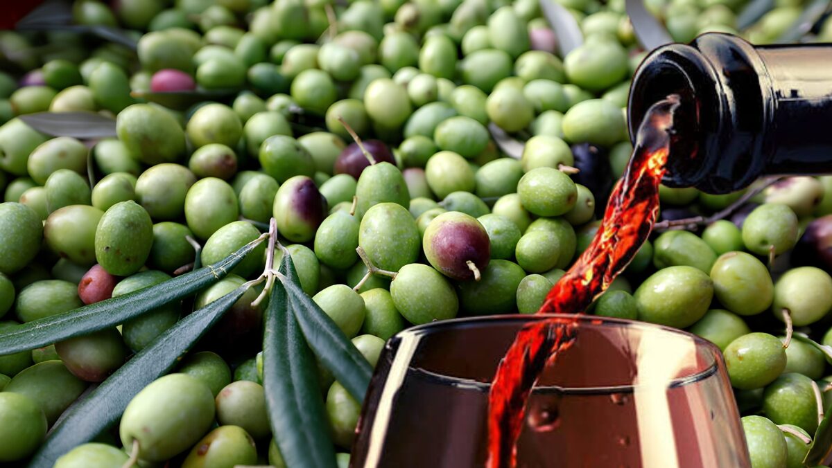 Dal calice al frantoio, Regione Lazio riscrive le Strade del Vino e dell’Olio per conquistare i turisti del gusto Dal calice al frantoio, Regione Lazio riscrive le Strade del Vino e dell’Olio per conquistare i turisti del gusto