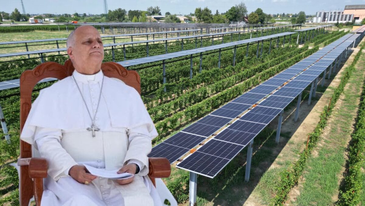 Habemus solem, il Vaticano accende i pannelli e coltiva energia Habemus solem, il Vaticano accende i pannelli e coltiva energia