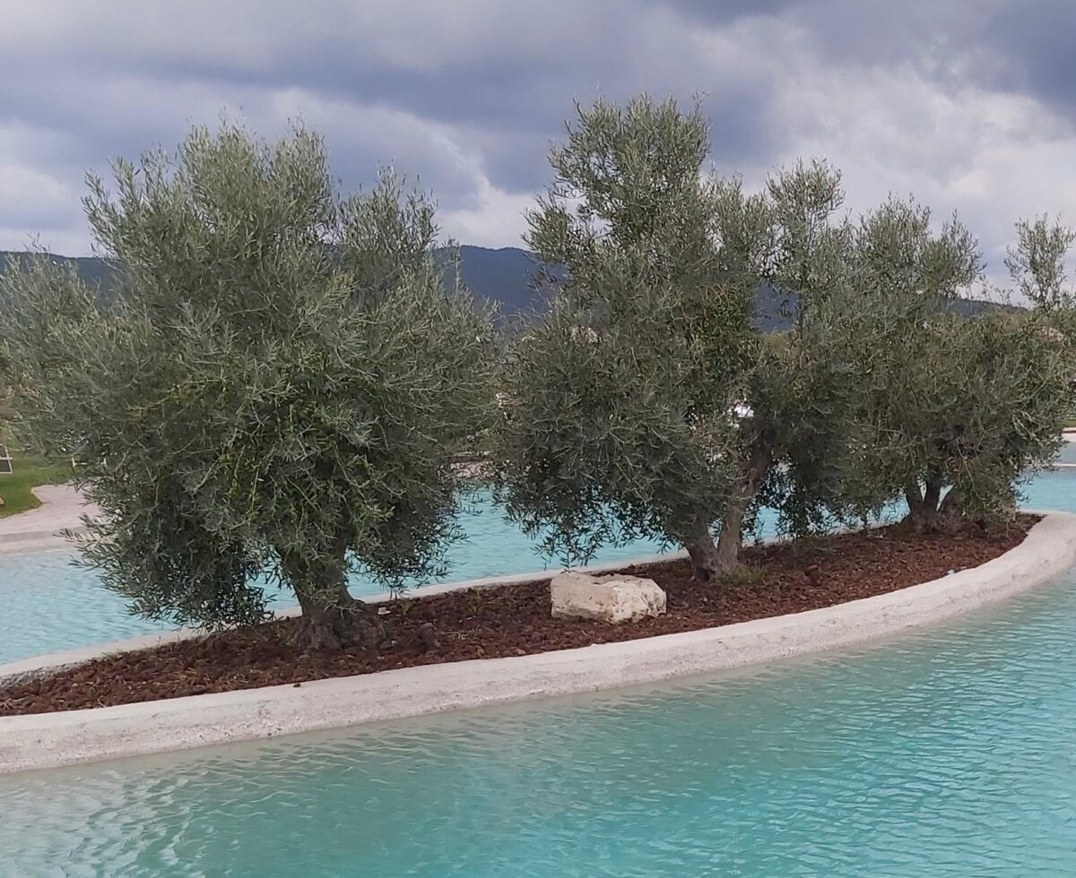 Benessere e relax, acque termali e natura per il soggiorno fuori porta Benessere e relax, acque termali e natura per il soggiorno fuori porta
