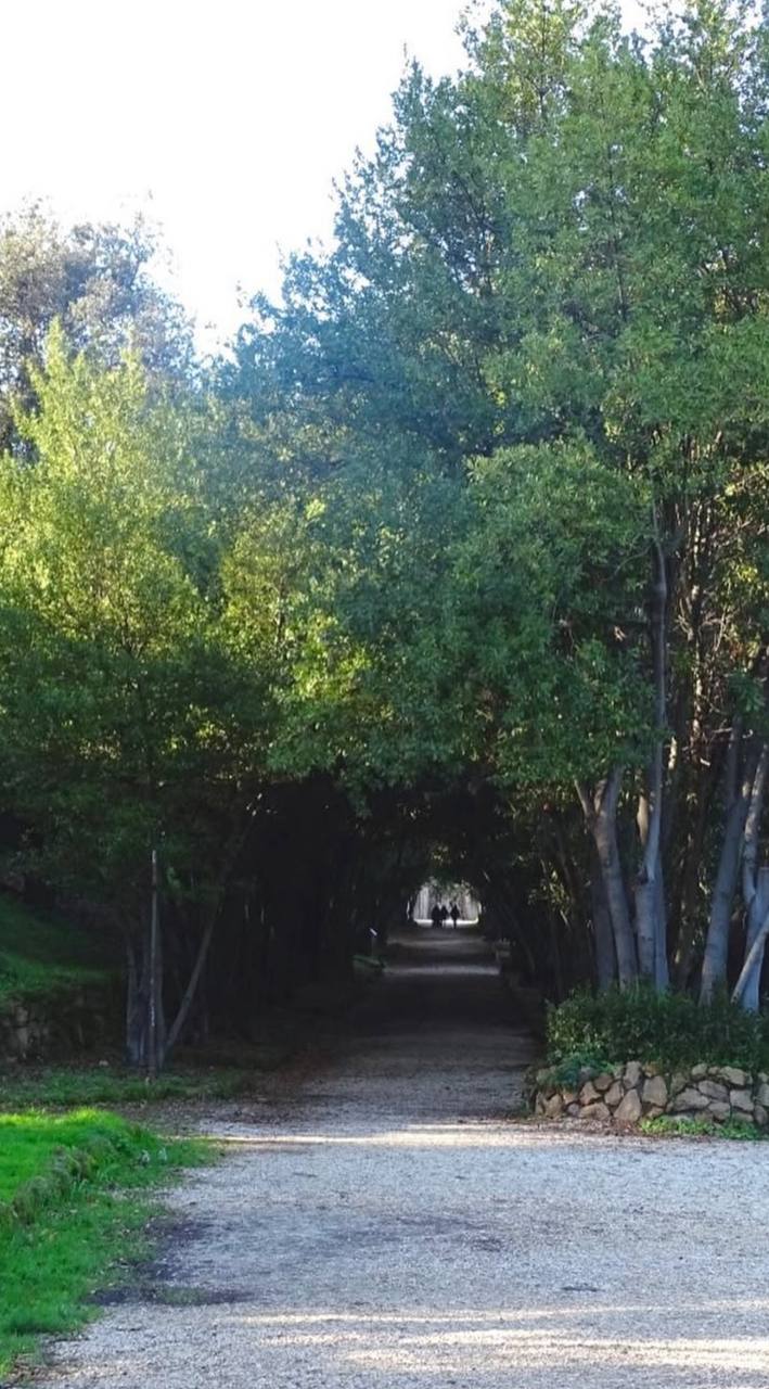 Villa Borghese, Villa Pamphilj e Villa Ada: quando l’ombra salvava dall’afa