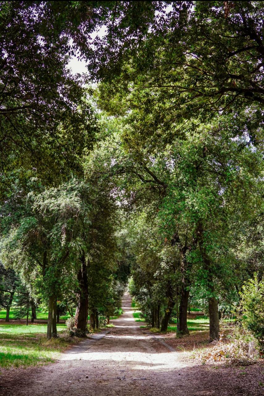 Villa Borghese, Villa Pamphilj e Villa Ada: quando l’ombra salvava dall’afa
