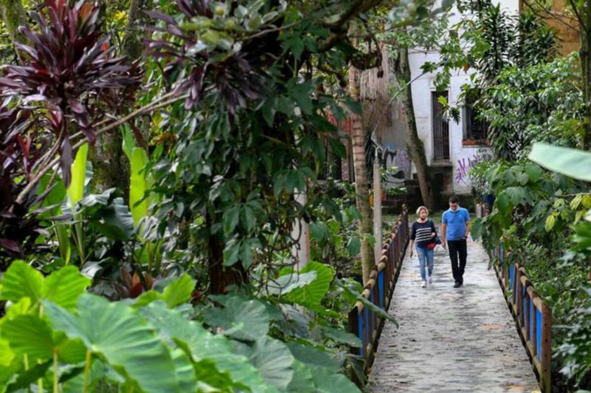 Medellín combatte il caldo con gli alberi, mentre Roma ci ripensa sul bioclimatico: il verde rimane l’alternativa più fresca?