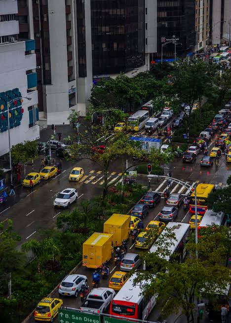 Medellín combatte il caldo con gli alberi, mentre Roma ci ripensa sul bioclimatico: il verde rimane l’alternativa più fresca?