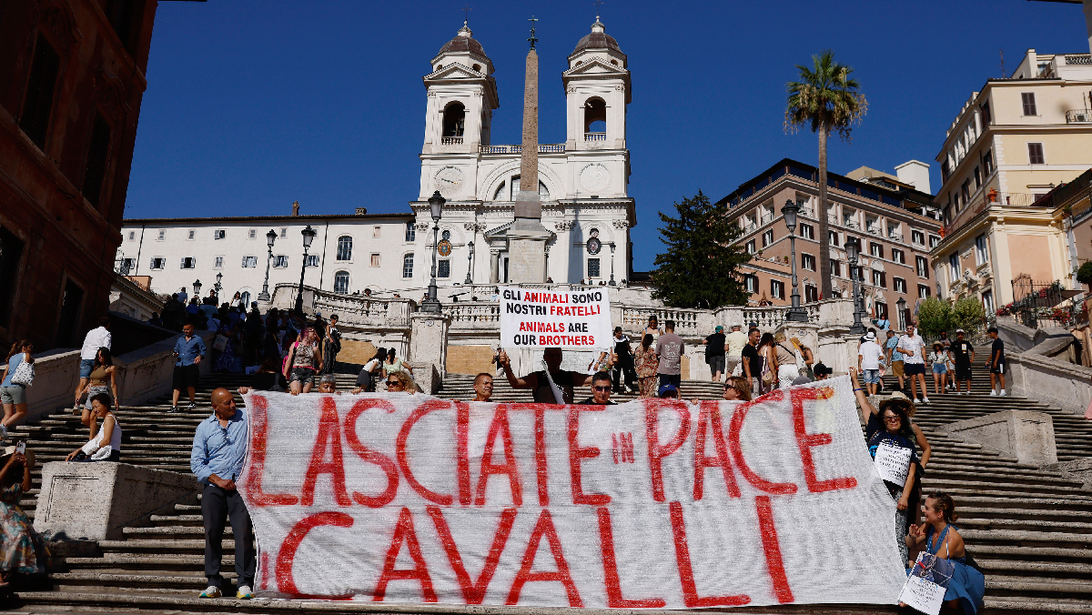 Botticelle, il piano di Gualtieri: stop ai cavalli da traino a Roma Botticelle, il piano di Gualtieri: stop ai cavalli da traino a Roma
