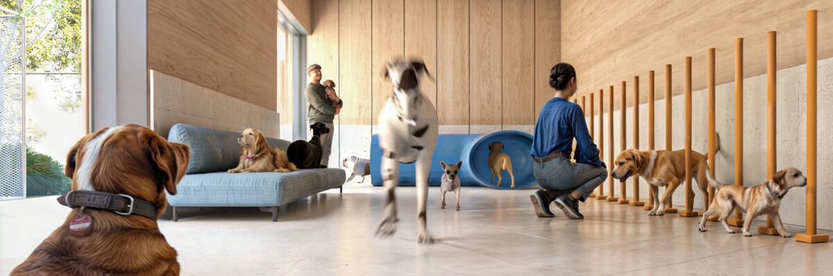 Fiumicino vola con gli animali e assicura più accoglienza e servizi Fiumicino vola con gli animali e assicura più accoglienza e servizi