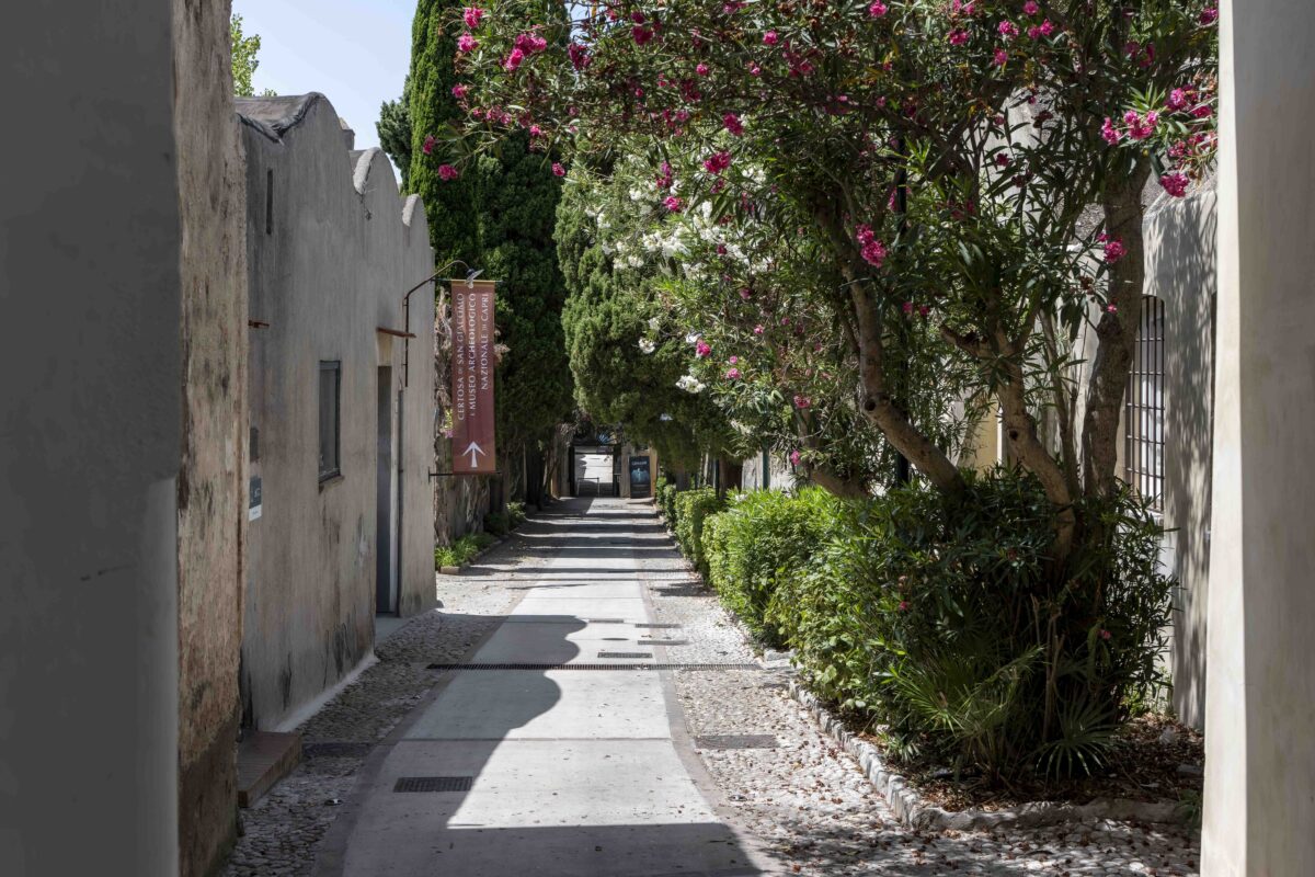 Alla Certosa di San Giacomo va in scena la rivoluzione dello “Stile Vacanza” Alla Certosa di San Giacomo va in scena la rivoluzione dello “Stile Vacanza”