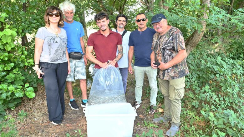 L’acqua depurata genera biodiversità: 2.500 alborelle cresciute nel depuratore Cap di Canegrate tornano nei fiumi lombardi