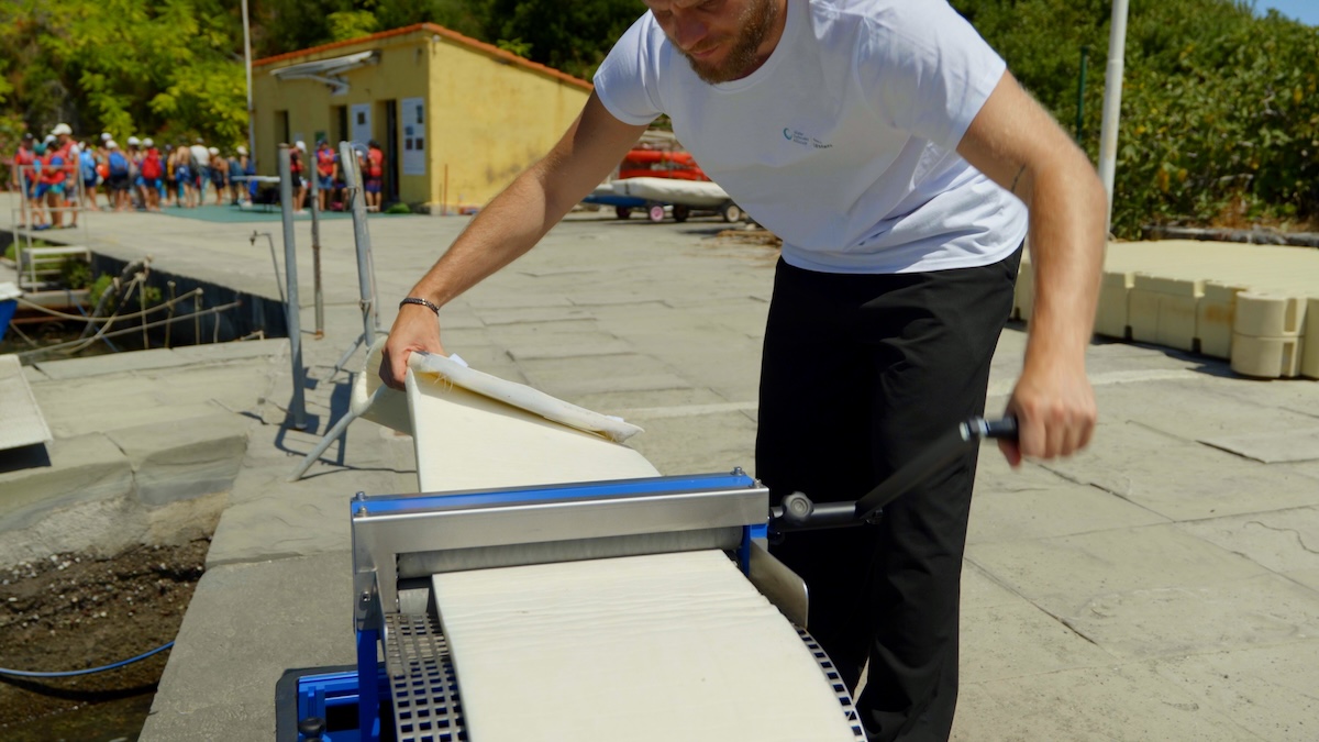 Santuario Pelagos protetto: Hyundai porta il kit FoamFlex a Livorno