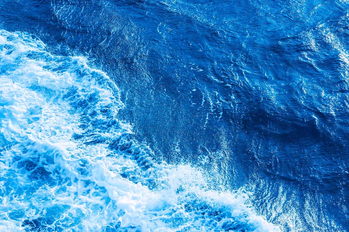 Santuario Pelagos protetto: Hyundai porta il kit FoamFlex a Livorno