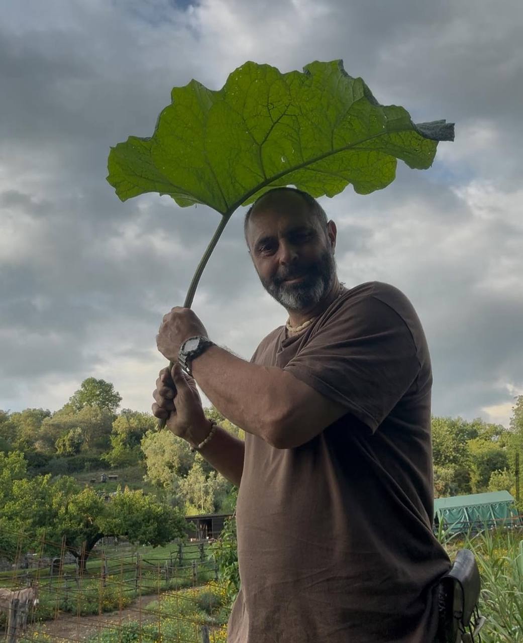 Aracnofobici? Niente panico: ecco le istruzioni per “convivere” con il ragno violino – INTERVISTA e VIDEO Aracnofobici? Niente panico: ecco le istruzioni per “convivere” con il ragno violino – INTERVISTA e VIDEO
