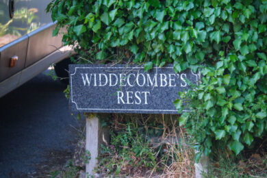 Ann Widdecombe