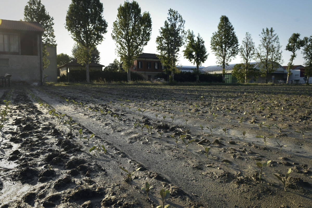 Emilia Romagna, da Bruxelles 500 milioni per rimettere in piedi l’agricoltura: chi può beneficiarne