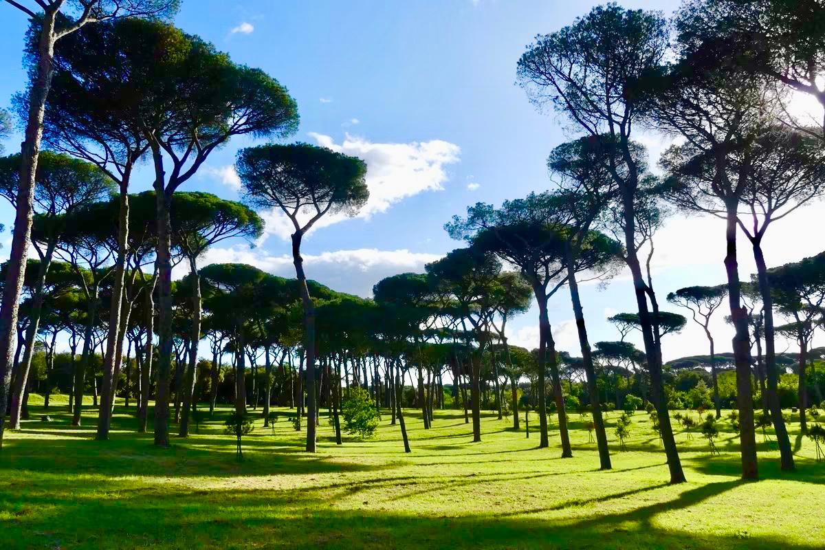 “Due gocce di romanità”. Quartieri, parchi, attività commerciali, l’identità della città si scopre anche con l’olfatto