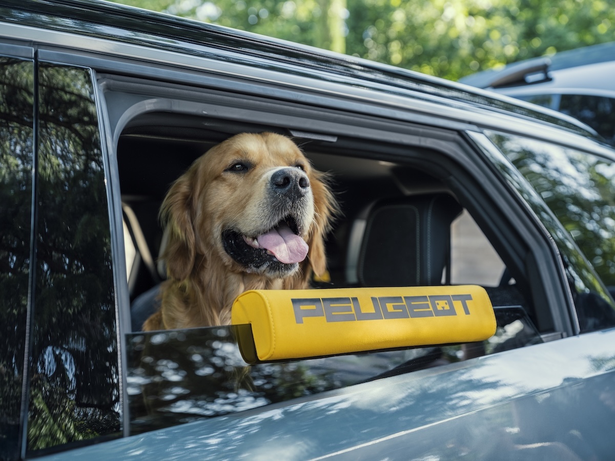 PEUGEOT presenta il SUV pensato anche per i cani PEUGEOT presenta il SUV pensato anche per i cani