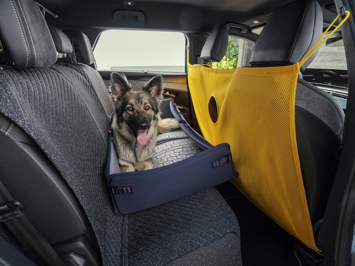 PEUGEOT presenta il SUV pensato anche per i cani PEUGEOT presenta il SUV pensato anche per i cani