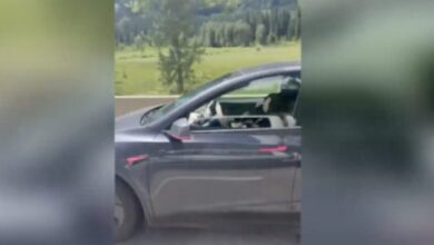 Tesla guida da sola, la conducente dorme