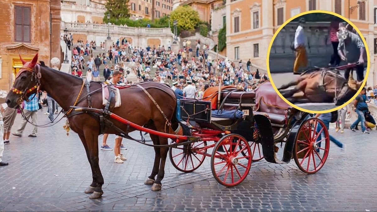 Botticelle d’altri tempi e polemiche moderne. Sull’ennesimo cavallo che crolla durissima la LAV: “Roma chiuda definitivamente questa pagina” Botticelle d’altri tempi e polemiche moderne. Sull’ennesimo cavallo che crolla durissima la LAV: “Roma chiuda definitivamente questa pagina”