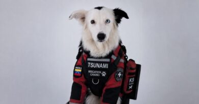 Tzunami