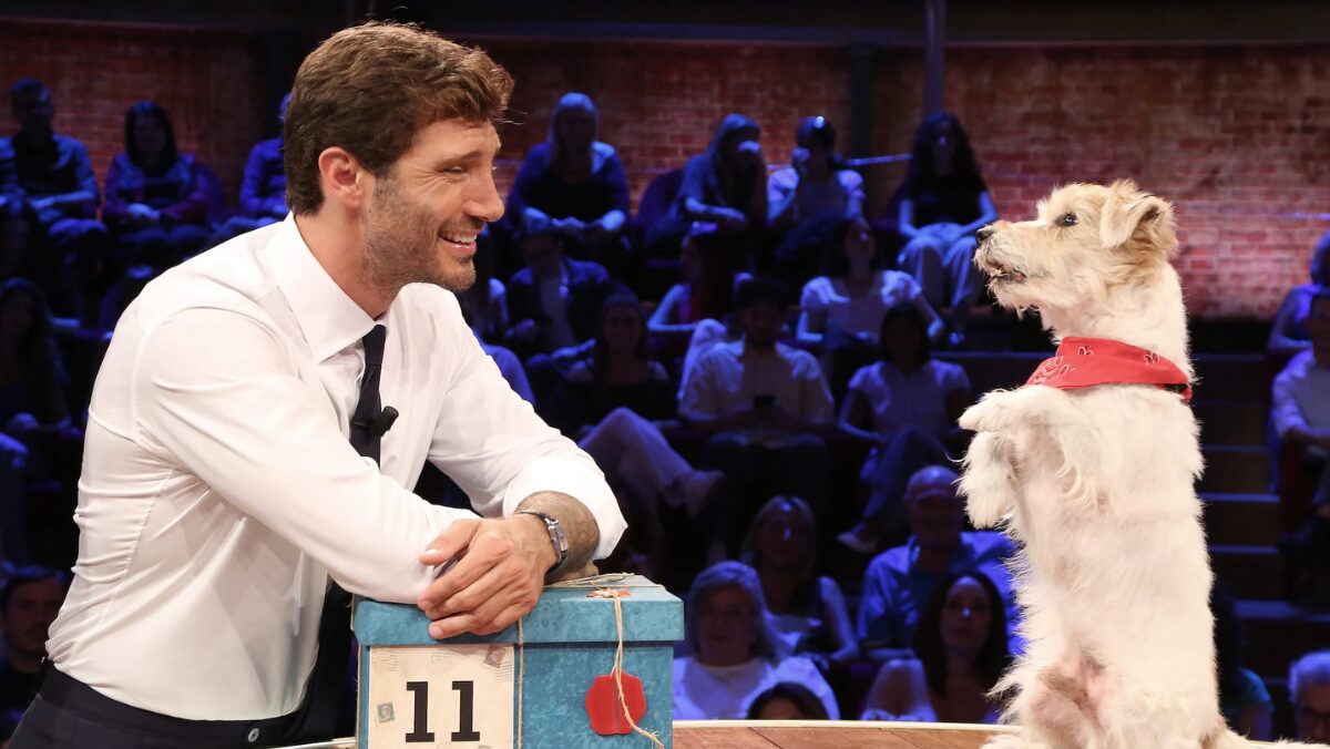 Affari Tuoi, il vero colpo di scena: Gennarino (ma in realtà si chiama Seven) lascia i pacchi e va in pensione Affari Tuoi, il vero colpo di scena: Gennarino (ma in realtà si chiama Seven) lascia i pacchi e va in pensione