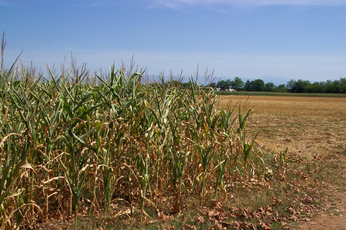 ANBI, Italia rovesciata: fa più caldo al Nord che al Sud con i grandi laghi svuotati ANBI, Italia rovesciata: fa più caldo al Nord che al Sud con i grandi laghi svuotati