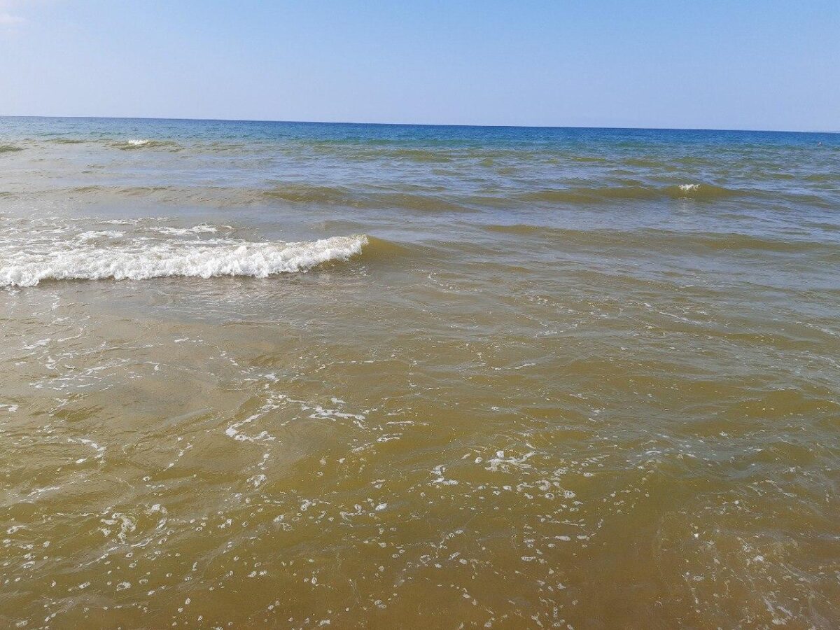 Acque cotte, un’estate a tinte gialle: perché il mare del Lazio cambia colore? Acque cotte, un’estate a tinte gialle: perché il mare del Lazio cambia colore?