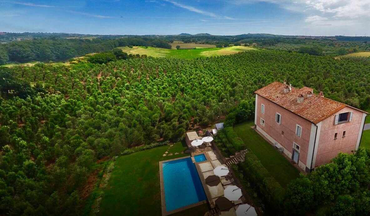 Il fine settimana in mezzo a migliaia di ulivi nella tenuta che fu di Luciano Bonaparte, tra storia, archeologia e il gusto della Maremma Laziale Il fine settimana in mezzo a migliaia di ulivi nella tenuta che fu di Luciano Bonaparte, tra storia, archeologia e il gusto della Maremma Laziale