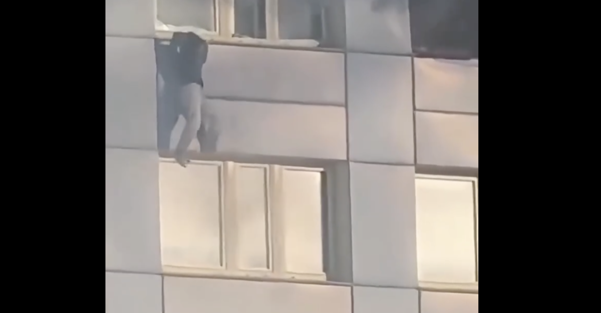 Berlino, intrappolata all’11° piano tra le fiamme: si lascia cadere e il vigile la afferra al volo – VIDEO Berlino, intrappolata all’11° piano tra le fiamme: si lascia cadere e il vigile la afferra al volo – VIDEO