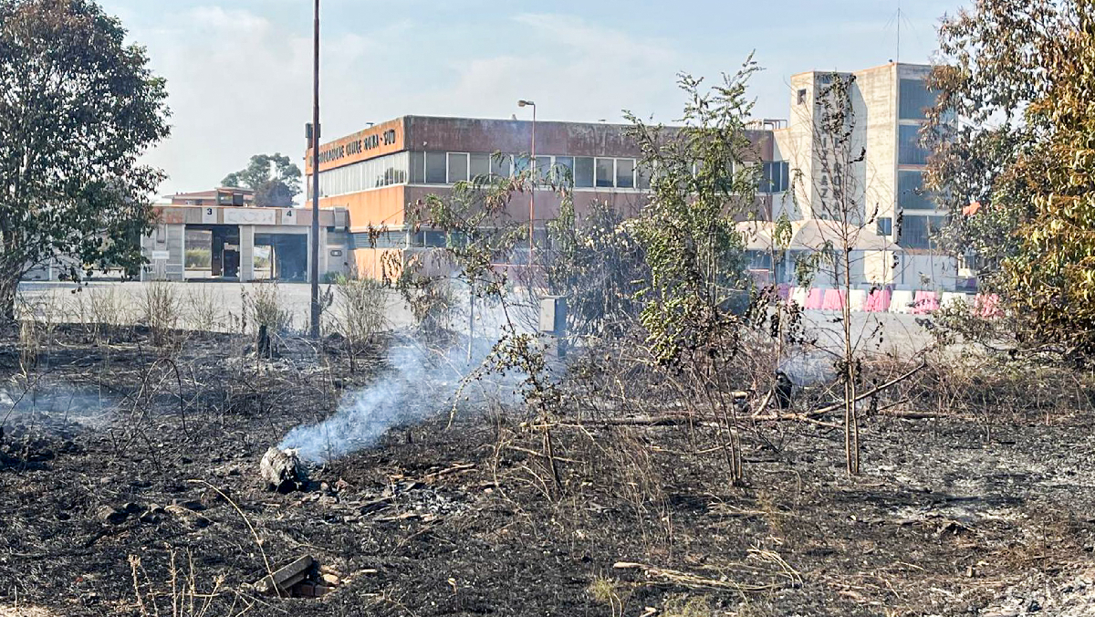 Incendio Laurentina, una piccola “terra dei fuochi” alle porte di Roma Incendio Laurentina, una piccola “terra dei fuochi” alle porte di Roma