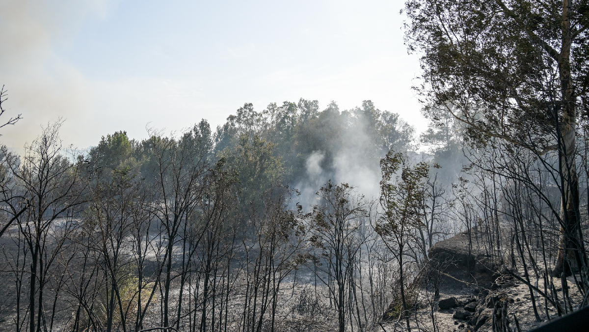 Incendio Laurentina, una piccola “terra dei fuochi” alle porte di Roma Incendio Laurentina, una piccola “terra dei fuochi” alle porte di Roma