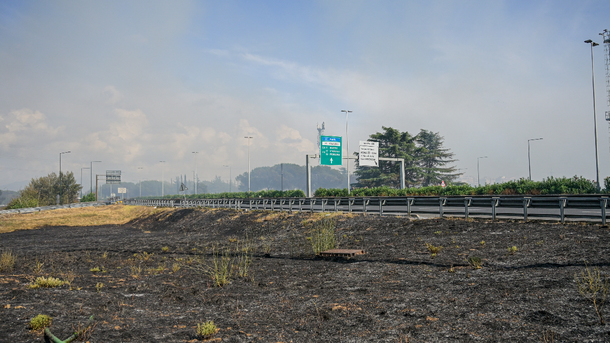 Incendio Laurentina, una piccola “terra dei fuochi” alle porte di Roma Incendio Laurentina, una piccola “terra dei fuochi” alle porte di Roma