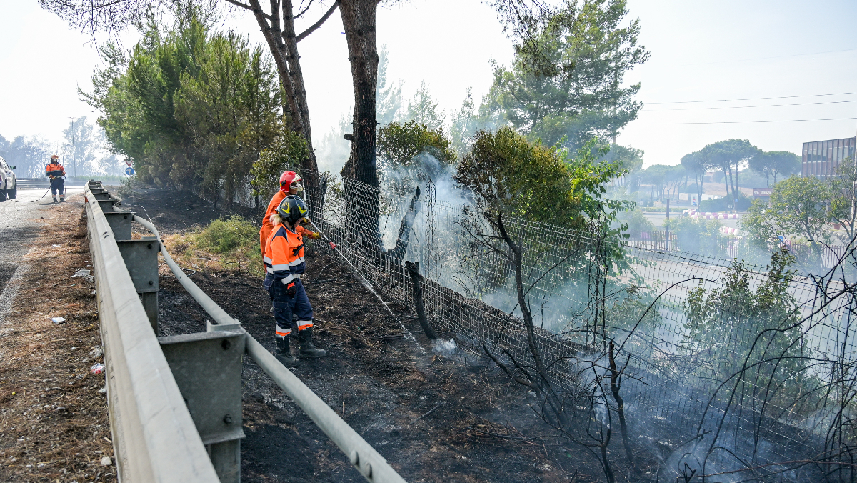 Incendio Laurentina, una piccola “terra dei fuochi” alle porte di Roma Incendio Laurentina, una piccola “terra dei fuochi” alle porte di Roma