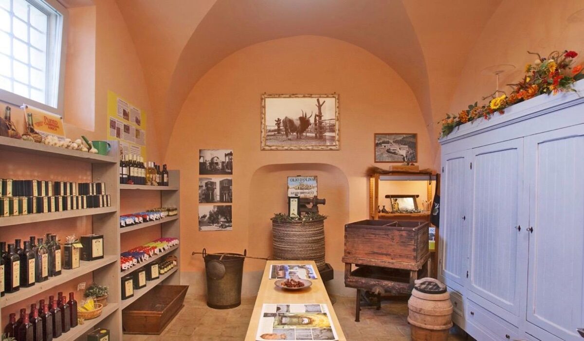 Il fine settimana in mezzo a migliaia di ulivi nella tenuta che fu di Luciano Bonaparte, tra storia, archeologia e il gusto della Maremma Laziale Il fine settimana in mezzo a migliaia di ulivi nella tenuta che fu di Luciano Bonaparte, tra storia, archeologia e il gusto della Maremma Laziale