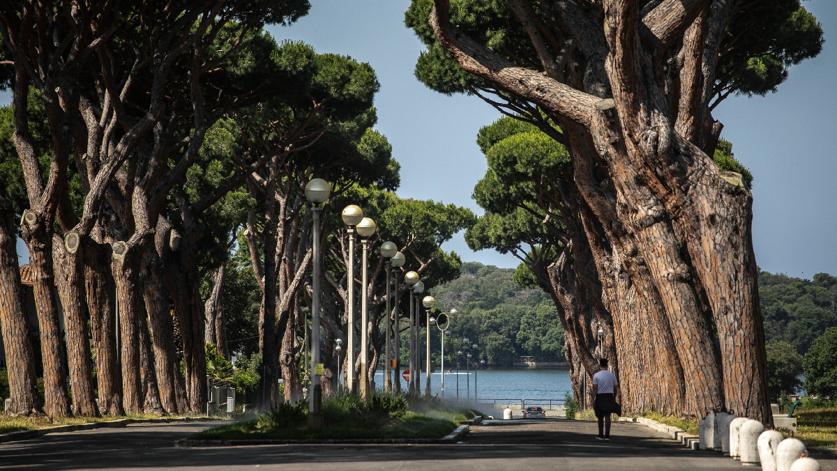 Sabaudia, la crisi morde e Confcommercio avverte: “Città in difficoltà”. Il turismo non è più sufficiente Sabaudia, la crisi morde e Confcommercio avverte: “Città in difficoltà”. Il turismo non è più sufficiente