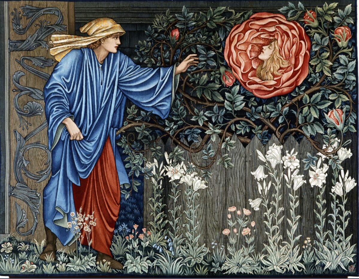 Ultimi giorni per visitare “Flowers. Meravigliosa Natura”, tra arte, scienza e ambiente