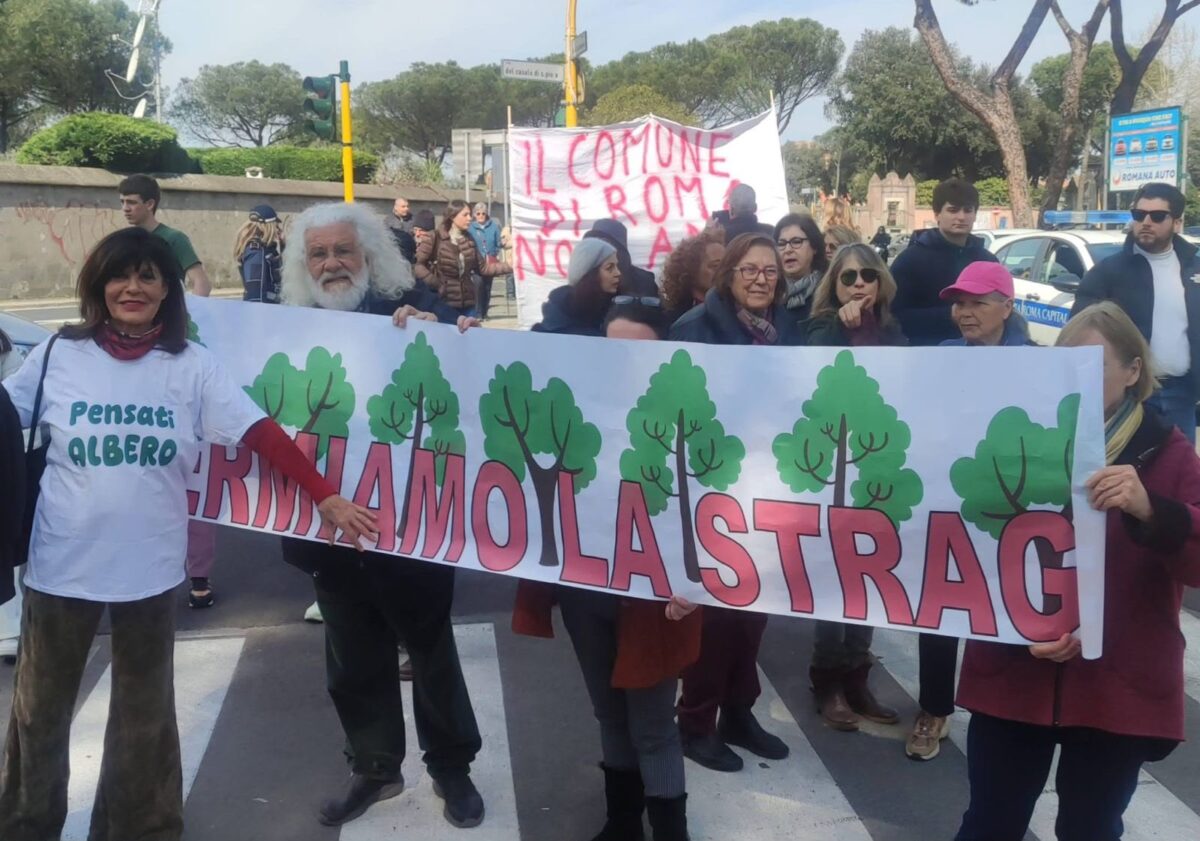 Mita Medici: “Sindaco, si svegli”. La Voce degli amici alberi chiede di essere ascoltata. “E agli amici, come ai nemici, non si spara mai” – INTERVISTA ESCLUSIVA Mita Medici: “Sindaco, si svegli”. La Voce degli amici alberi chiede di essere ascoltata. “E agli amici, come ai nemici, non si spara mai” – INTERVISTA ESCLUSIVA