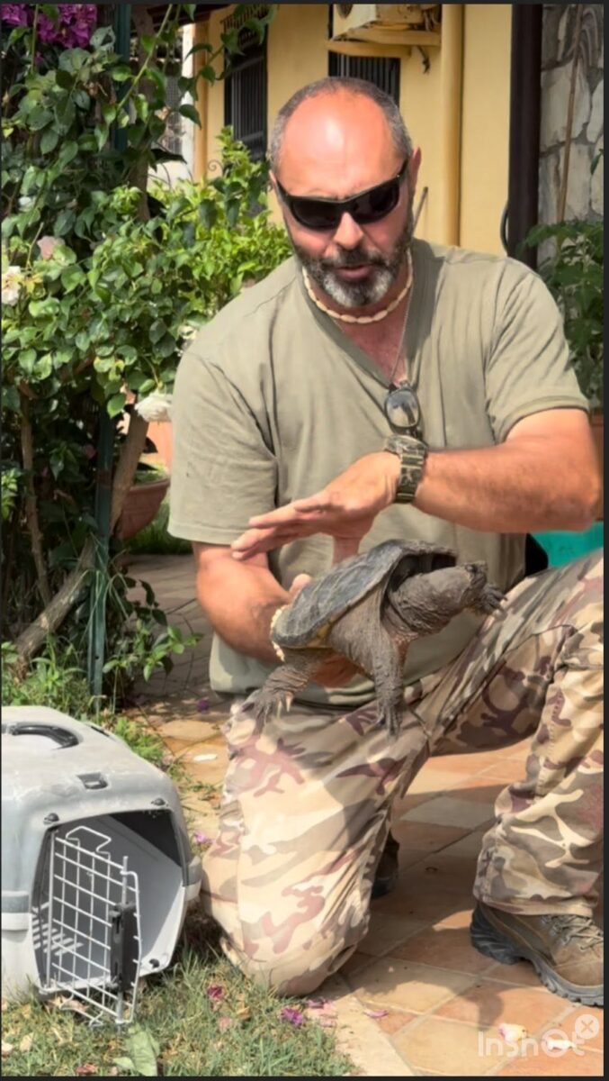 Andrea Lunerti: “Ogni specie animale racconta la storia del Pianeta, noi abbiamo una visione distratta” – INTERVISTA Andrea Lunerti: “Ogni specie animale racconta la storia del Pianeta, noi abbiamo una visione distratta” – INTERVISTA
