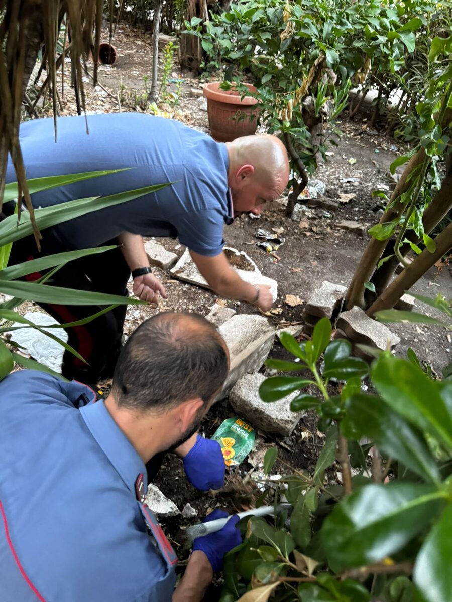 Roma, maxi retata dei carabinieri: oltre 1000 dosi di droga sequestrate e 24 persone in manette. Il blitz al Quarticciolo Roma, maxi retata dei carabinieri: oltre 1000 dosi di droga sequestrate e 24 persone in manette. Il blitz al Quarticciolo