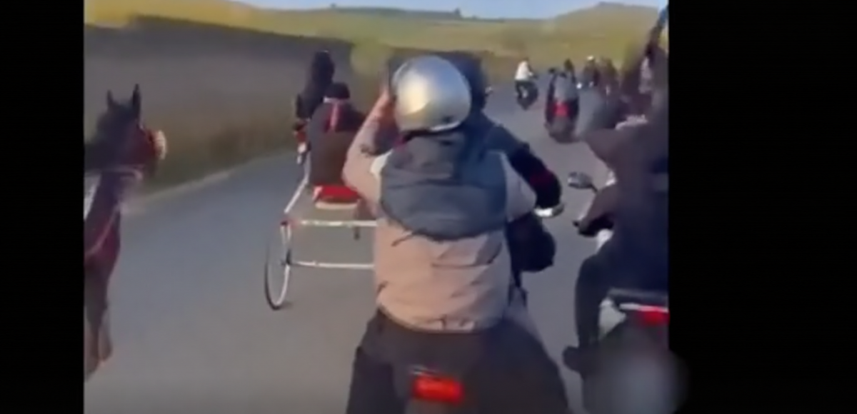 Catania, corsa clandestina di cavalli tra spari e Kalashnikov: arrestato un 21enne – VIDEO
