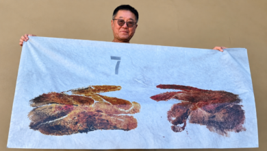 Huangsheng Wang